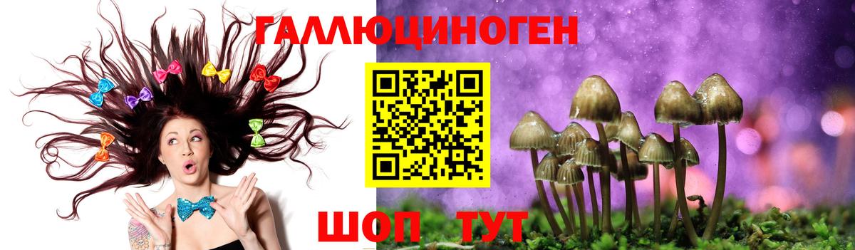 Псилоцибиновые грибы MAGIC MUSHROOMS Свободный
